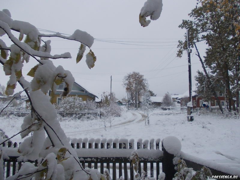 В Пакшеньге первый снег. 11 октября 2014 г.